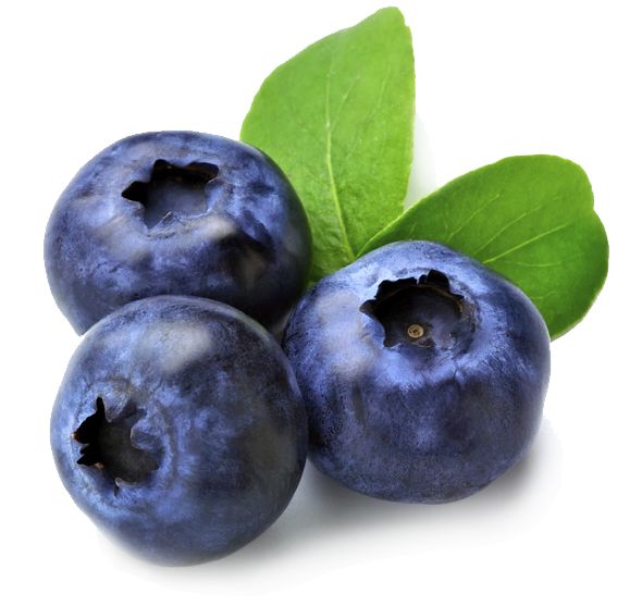 Blueberry: Buah Super yang Baik untuk Sistem Kekebalan Tubuh