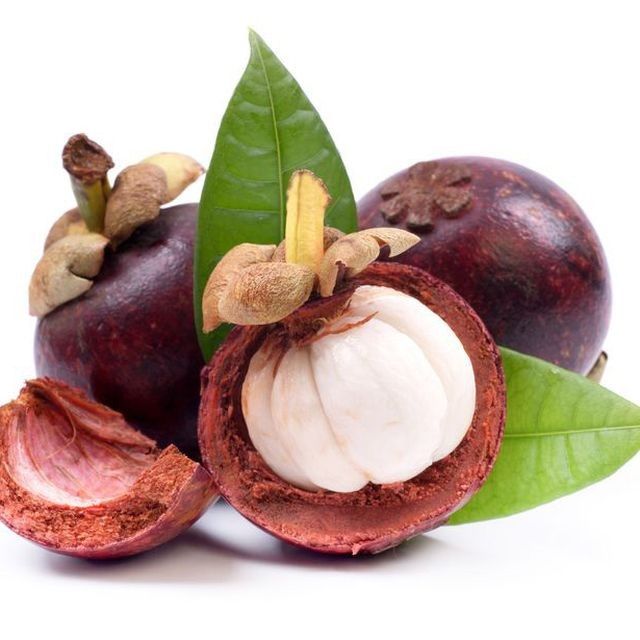 Manfaat Buah Jambu Air bagi Kesehatan Tubuh